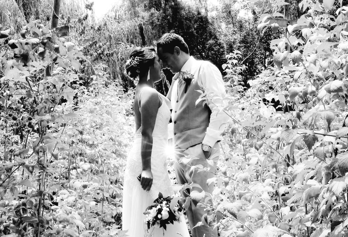 Matrimonios Campestres 8 horas - imagen 9